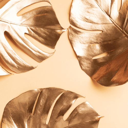 SILK PRESS PACKAGE at Saint Nola Beauty in Houston, TX