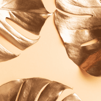 WASH AND GO PACKAGE at Saint Nola Beauty in Houston, TX